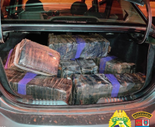 BPRv apreende mais de 380 quilos de maconha e recupera 27 toneladas de arroz durante o feriado de Finados