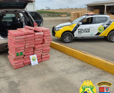 BPRv apreende mais de meia tonelada de maconha em Telêmaco Borba, nos Campos Gerais