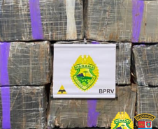 BPRv apreende mais de 380 quilos de maconha e recupera 27 toneladas de arroz durante o feriado de Finados
