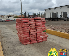 BPRv apreende mais de meia tonelada de maconha em Telêmaco Borba, nos Campos Gerais