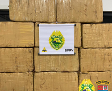 BPRv apreende mais de 380 quilos de maconha e recupera 27 toneladas de arroz durante o feriado de Finados