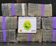 No primeiro dia da Operação Finados, BPRv apreende 165 quilos de maconha no Noroeste do estado