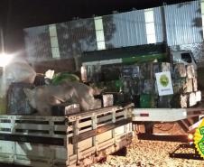 BPFron encontra quatro toneladas de maconha em chácara abandonada em Santa Helena (PR)