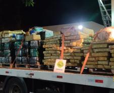 BPFron encontra quatro toneladas de maconha em chácara abandonada em Santa Helena (PR)