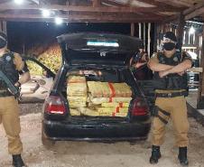 Mais de 200 quilos de maconha são apreendidos pela PM em Campo Mourão (PR)