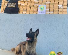 No Noroeste do estado, PM apreende mais de 200 quilos de crack e sete pessoas acabam presas em situações distintas