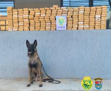 No Noroeste do estado, PM apreende mais de 200 quilos de crack e sete pessoas acabam presas em situações distintas