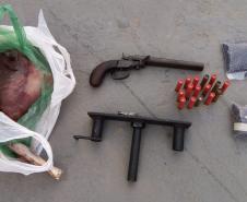 Polícia Ambiental apreende 10 armas de fogo e flagra desmatamento e caça ilegal no interior do Paraná
