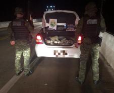 No Oeste do estado, BPFron apreende 14 quilos de Skank e 60 quilos de maconha durante a Operação Hórus