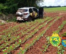 Mais de meia tonelada de maconha é apreendida pelo BPFron no Oeste do estado