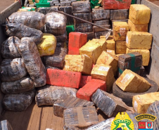 Batalhão Rodoviário faz maior apreensão de maconha no ano em Santa Helena; 4,6 toneladas de droga estavam em caminhão