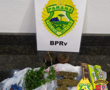 BPRv aborda ônibus que ia para Guaratuba, no Litoral do estado, e localiza maconha com rapaz