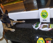 BPRv aborda ônibus que ia para Guaratuba, no Litoral do estado, e localiza maconha com rapaz