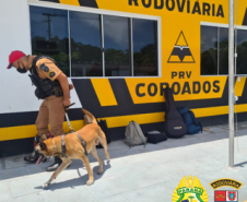 No Posto Rodoviário de Coroados, no Litoral do estado, BPRv encaminha adolescente e apreende porção de maconha