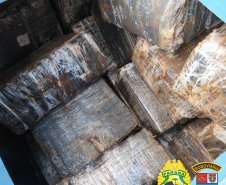 Batalhão Rodoviário faz maior apreensão de maconha no ano em Santa Helena; 4,6 toneladas de droga estavam em caminhão
