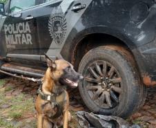 Ação conjunta da PM e Polícia Civil pela Operação Sinergia resulta em dinheiro, carro e crack apreendidos em Santo Antônio do Sudoeste