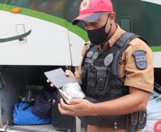 Em blitz educativa sanitária, Canil do BPRv apreende maconha em Pontal do Paraná 