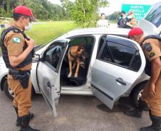 Polícia Militar atende 654 ocorrências e encaminha 66 pessoas no Litoral durante o feriado de Natal