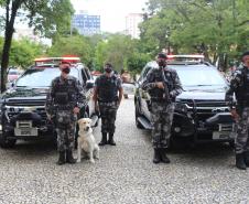 Polícia Militar inicia Operação Natal e reforça presença nas ruas