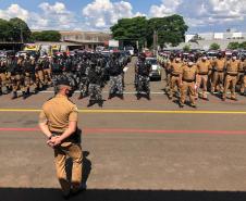 Mais de 500 pessoas são presas e 7 toneladas de maconha e 68 armas apreendidas nas duas etapas da Operação Sinergia