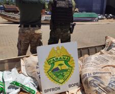 Barco com meia tonelada de agrotóxicos é apreendida em Pato Bragado durante a Operação Hórus