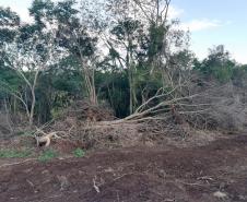 Força-Tarefa reforça combate à pesca predatória e desmatamento no Estado