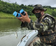 Operação apreende 48 quilos de peixes nativos em Ortigueira