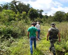 Nas águas e nas matas do Litoral, Polícia Ambiental faz oito prisões e resgata 174 aves silvestres nos primeiros 10 dias de Verão Consciente