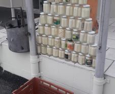 Nas águas e nas matas do Litoral, Polícia Ambiental faz oito prisões e resgata 174 aves silvestres nos primeiros 10 dias de Verão Consciente
