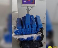 BPRv apreende quase 30 quilos de maconha durante patrulhamento em Cafezal do Sul (PR)