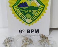 Rapaz com maconha e cogumelos desidratados é encaminhado pela PM em Matinhos (PR)