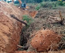 Destruição de mata nativa no Norte Pioneiro resulta em multa, apreensão e prisão
