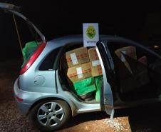 Cerca de 50 mil pacotes de cigarros contrabandeados são apreendidos durante a Operação Hórus, em Nova Santa Rosa, no Oeste do estado