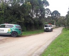 Polícia Ambiental presta apoio na remoção de tigre da Malásia e papagaios para o Zoológico de Curitiba