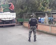 Polícia Ambiental presta apoio na remoção de tigre da Malásia e papagaios para o Zoológico de Curitiba