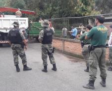 Polícia Ambiental presta apoio na remoção de tigre da Malásia e papagaios para o Zoológico de Curitiba