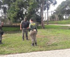 Polícia Ambiental presta apoio na remoção de tigre da Malásia e papagaios para o Zoológico de Curitiba