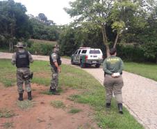 Polícia Ambiental presta apoio na remoção de tigre da Malásia e papagaios para o Zoológico de Curitiba