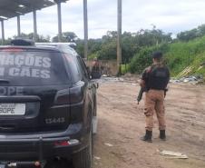 ROTAM localiza quase sete quilos de maconha na Estrada das Colônias em Paranaguá (PR)