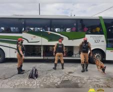 Polícia Rodoviária fiscaliza acesso ao Litoral com cães de faro e apreende maconha e ecstasy durante a Operação Vida