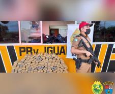 Quase meia tonelada de maconha é apreendida pelo BPRv durante a Operação Vida