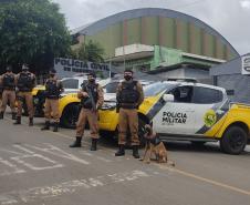 Batalhão da PM apreende mais de 2 mil maços de cigarro contrabandeado e apreende arma de fogo em ações separadas nos Campos Gerais