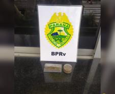 Cão de faro do BPRv localiza drogas sintéticas durante a Operação Vida em Pontal do Paraná
