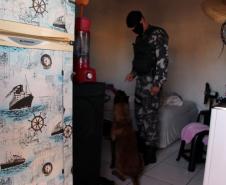 PM cumpre mandados judiciais no Litoral e encaminha dois homens por tráfico durante a Operação Vida