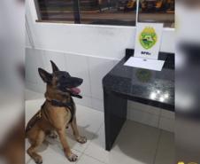 BPRv apreende eletrônicos contrabandeados e maconha em situações distintas durante a Operação Vida no estado