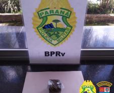 Cão de Faro do BPRv localiza maconha em Pontal do Paraná durante a Operação Vida