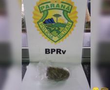 Cães de faro da Polícia Rodoviária localizam drogas em ônibus de viagem e dois homens são encaminhados no litoral