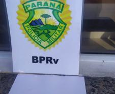 Operação Vida: Militares estaduais com auxílio de cão policial apreendem maconha e encaminham três pessoas, em ocorrências distintas, no Litoral do Paraná