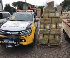 Caminhão com 985 quilos de maconha que seguia para Colombo (PR) é interceptado pelo BPRv na Rodovia da Uva