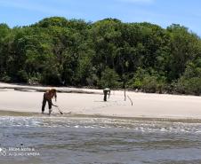 Batalhão Ambiental apreende rede de pesca na Ilha das Peças